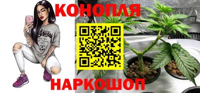 прущая мука Канаш