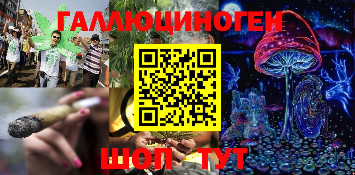 Псилоцибиновые грибы Psilocybe Кстово